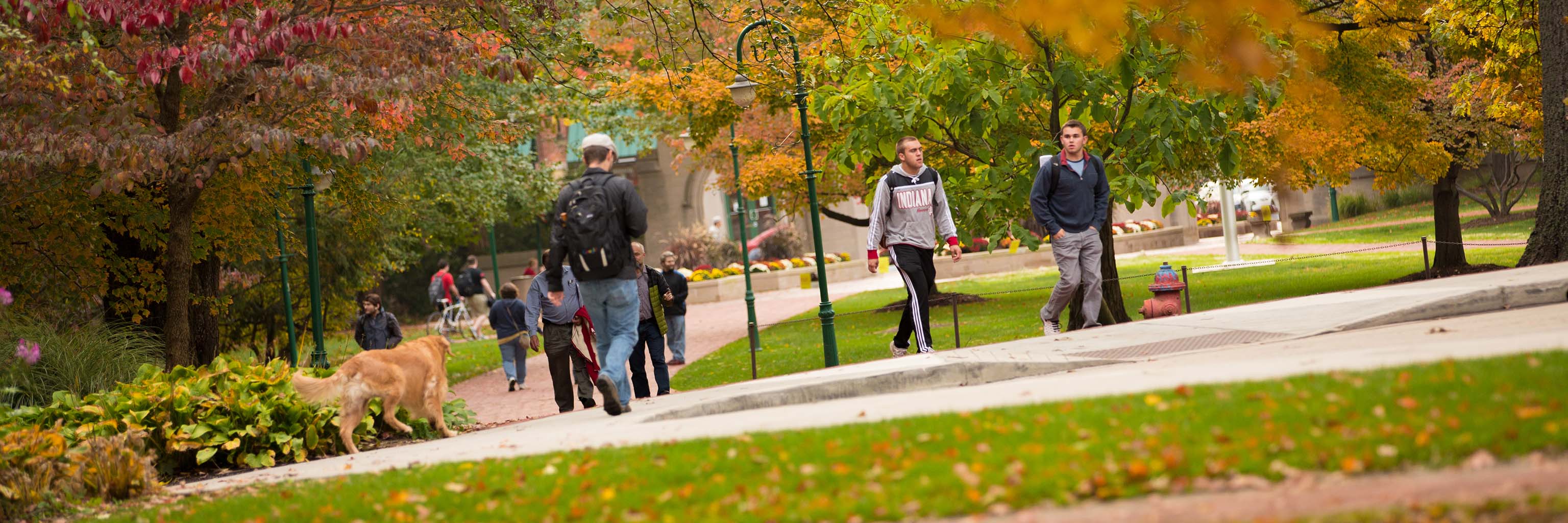 A view of students walking on campus