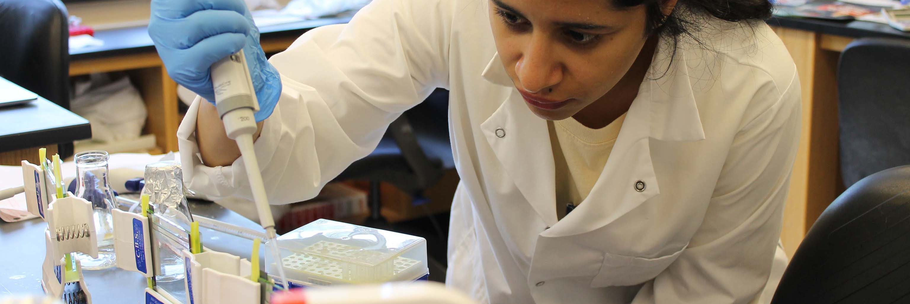 Biotech M.S. student Noof Alsulaiti works at the bench in the Bochman lab, July 2022.