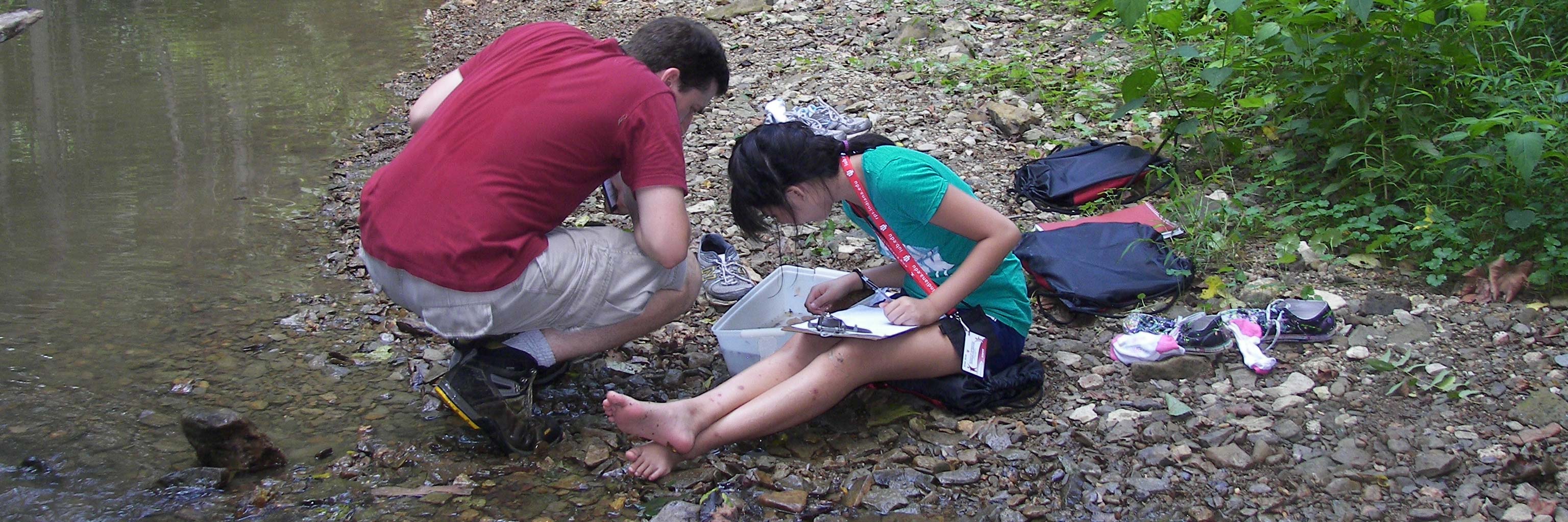 Students looking at water samples