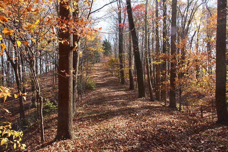 A trail runs through a wooded area. The trees are in colorful autumn foliage.