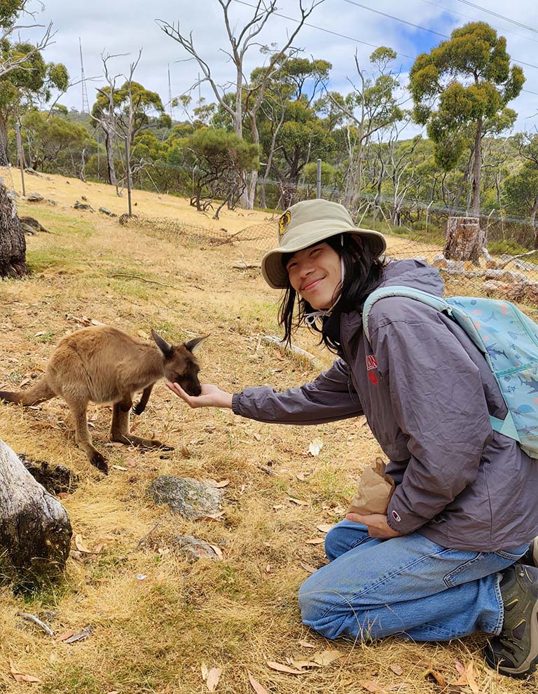 Sannoong Hu feeds a wallaby or small kangaroo.