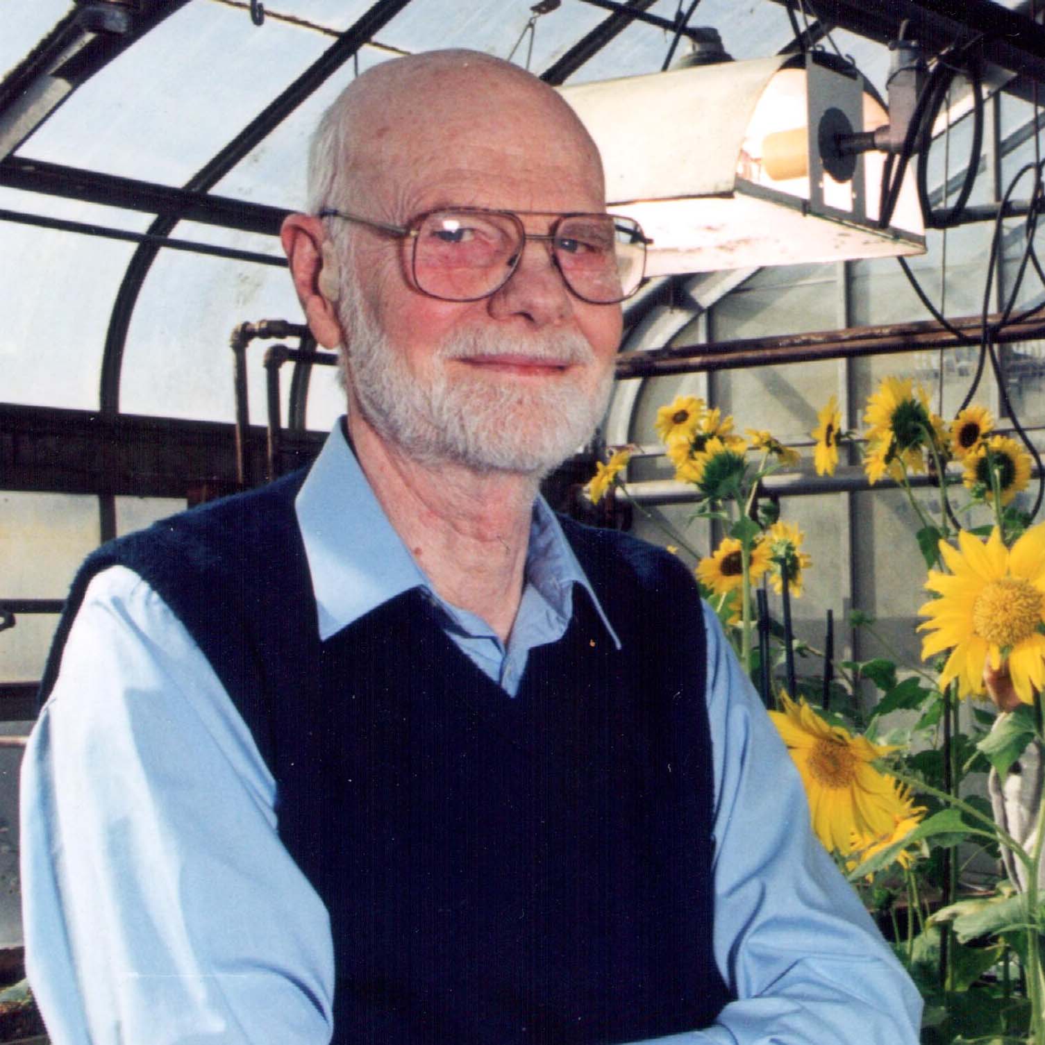 Charlie Heiser in greenhouse with sunflowers.