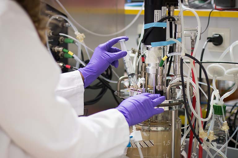 A researcher in a fermentation lab wears a white lab coat and purple protective gloves while injecting a substance into a large glass container with several tubes coming from its lid and connecting to other equipment.
