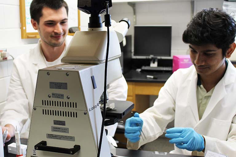 Ian Reynolds and Saurabh Gireesan prepare a bacterial sample to observe under the microscope.