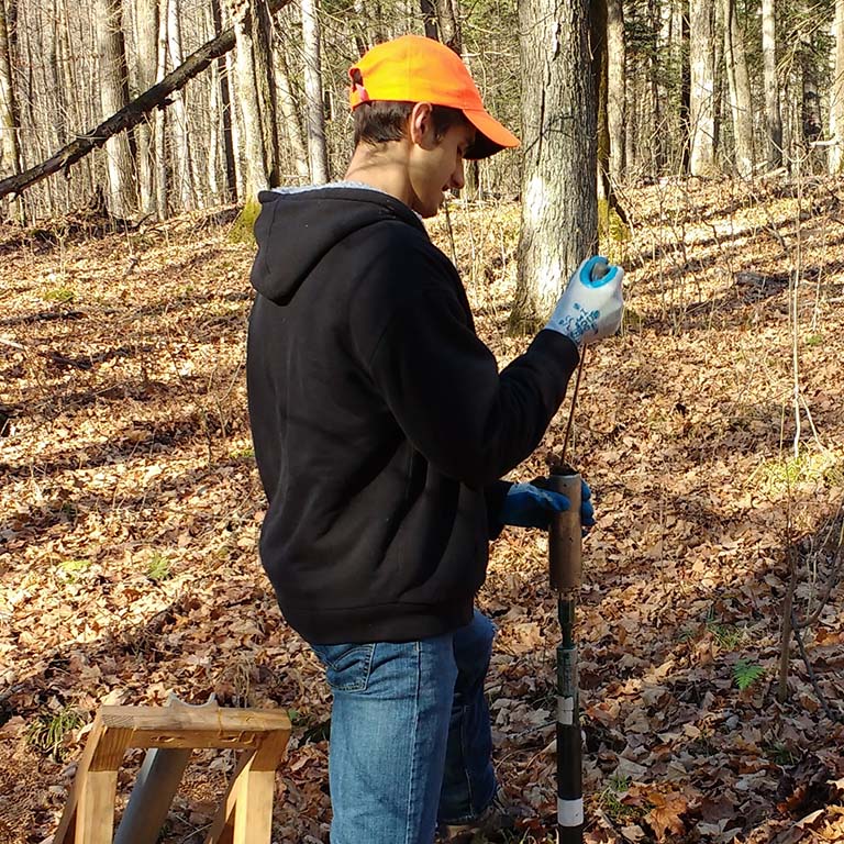 Steve Kannenberg extracting soil core samples in the woods.