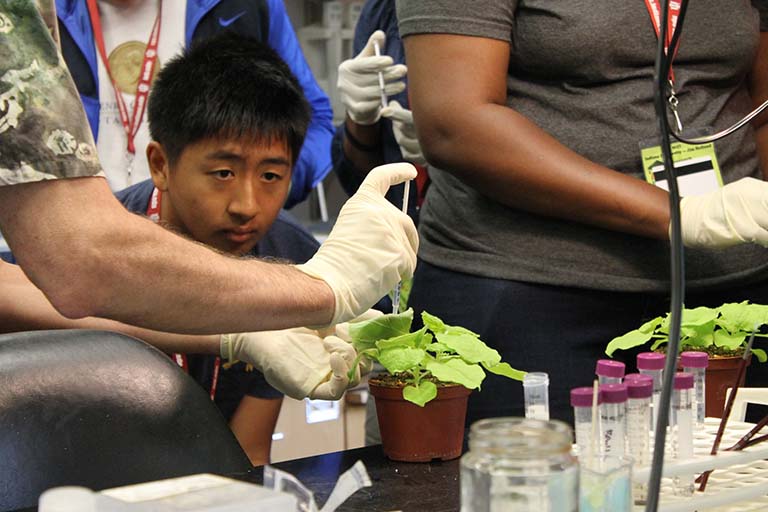 Innes instructs IU’s Holland summer science program (https://go.iu.edu/holland) participants on how plant scientists transiently express genes in Nicotiana benthamiana, a tobacco relative.