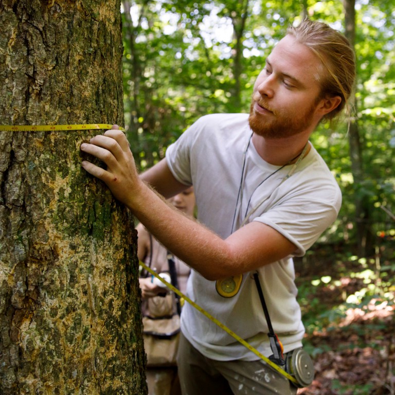 Matthias Gaffney measures a tree trunk.