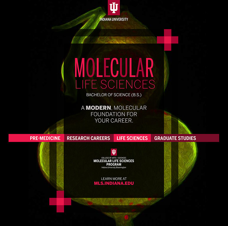 Flyer:  Molecular Life Sciences B.S.: A modern, molecular foundation for your career.