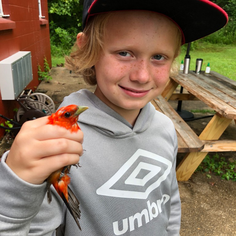Nola Cusack holds a Scarlet Tanager.