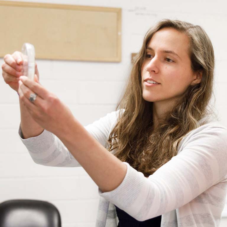 Ph.D. student Courtney Ellison examines a sample in the lab.