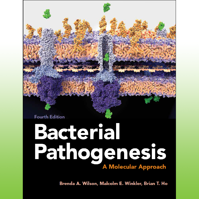 Book cover for Bacterial Pathogenesis—A Molecular Approach (BPe4), 4th edition.