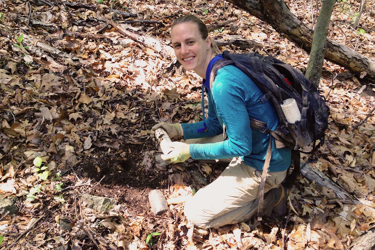Adrienne Keller digs a hole in one of the forests plots in order to install an ingrowth core.