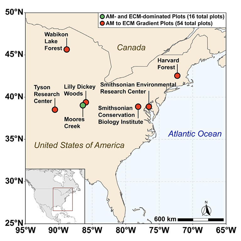 Map of sampling locations across the eastern United States used in this study:  Wabikon Lake Forest (Wisconsin), Harvard Forest (Massachusetts), Tyson Research Center (Missouri), Smithsonian Environmental Research Center (Maryland), Smithsonian Conservation Biology Institute (Virginia), and Moores Creek and Lilly-Dickey Woods (both in Indiana).
