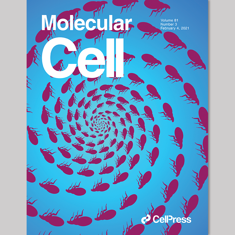 Cover of the February 4, 2021, Molecular Cell journal showing an image (silhouettes of fleas endlessly spiralling outward) associated with an article written by Naomichi Takemata and Steve Bell.