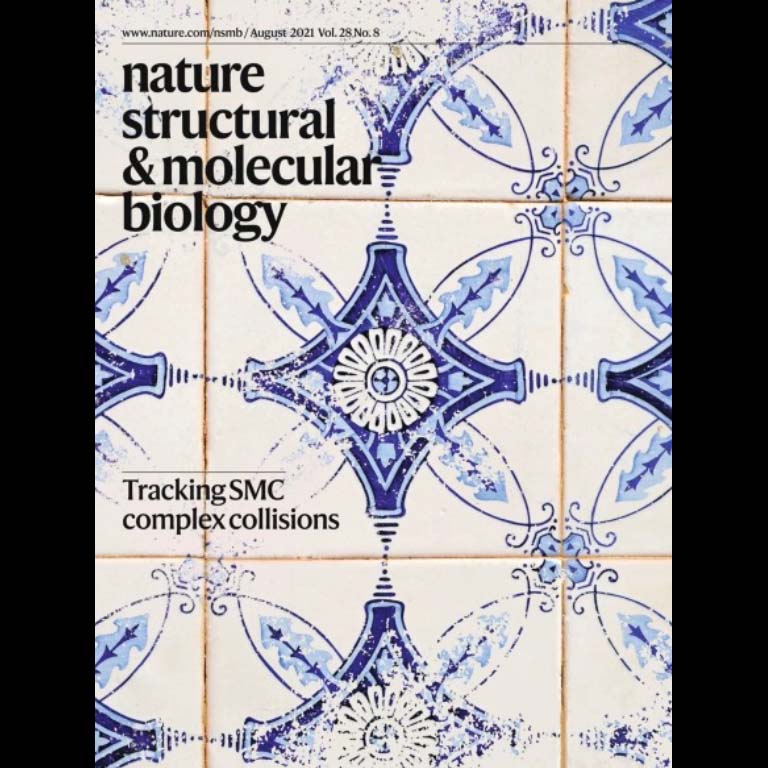 Cover of the journal Nature Structural & Molecular Biology, Aug 2021 that looks like square tiles, each with an ornate dark blue and light blue design on a white background.