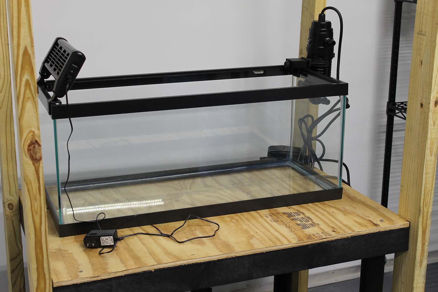 An approximately 30-gallon, empty, glass-sided aquarium tank sits on a plywood shelf.