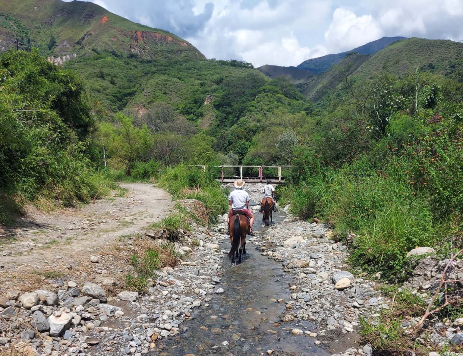 Matt Gibson (left) and colleague ride up a rocky stream on horseback.  A foot bridge crosses the stream ahead of them. The Andes Mountains are seen in the background.