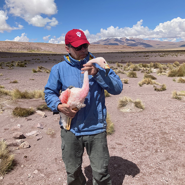 Alex Jahn holds an Andean flamingo. 