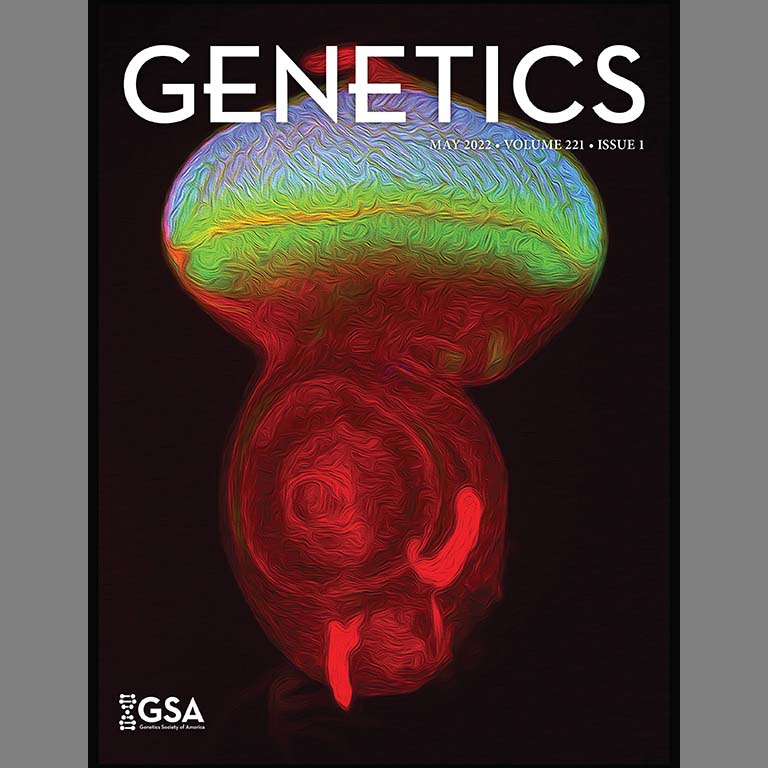 An image of a Drosophila eye-antennal disc (contributed by Alison Smith and Justin Kumar) appears on the cover of the journal Genetics, May 2022, volume 221, issue 1.