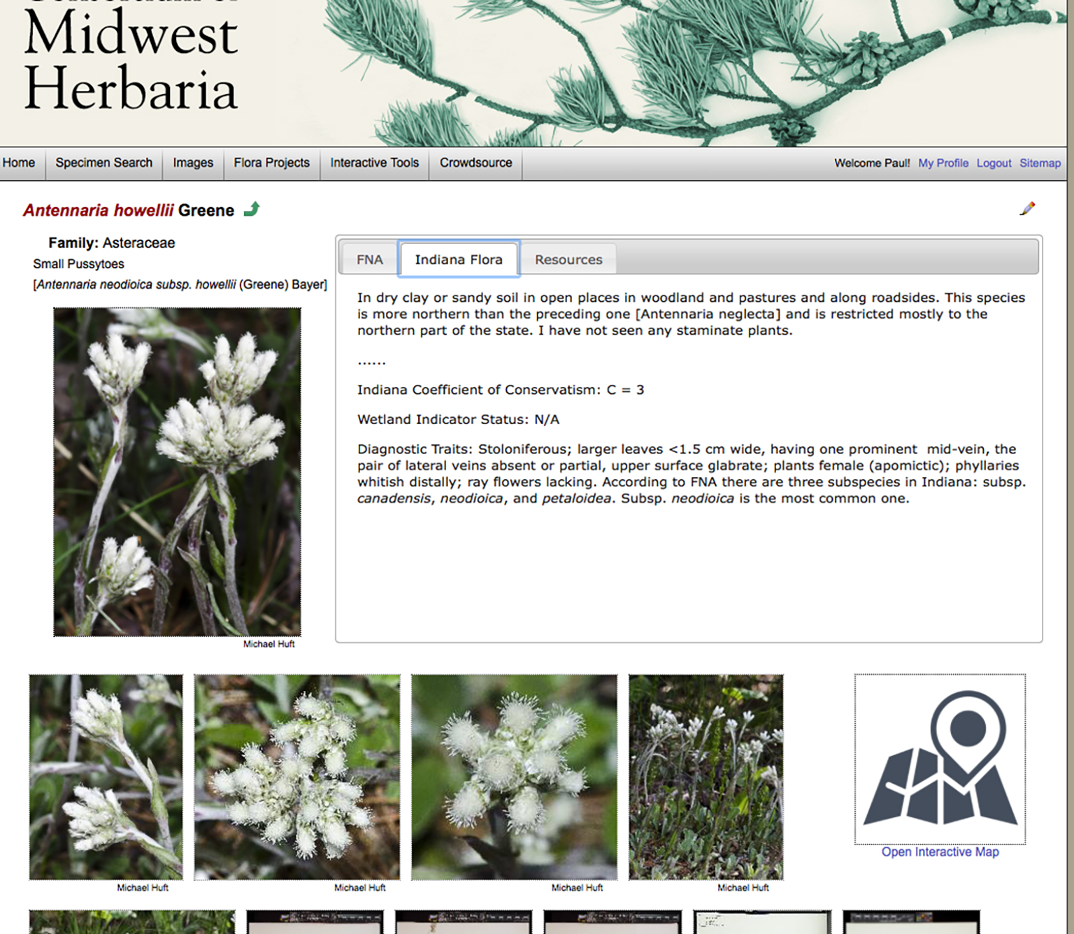 This example of a species page  from the Consortium of Midwest Herbaria website includes photos, verbal descriptions of the species, and habitat as well as a link to a map showing where the species is known to occur.