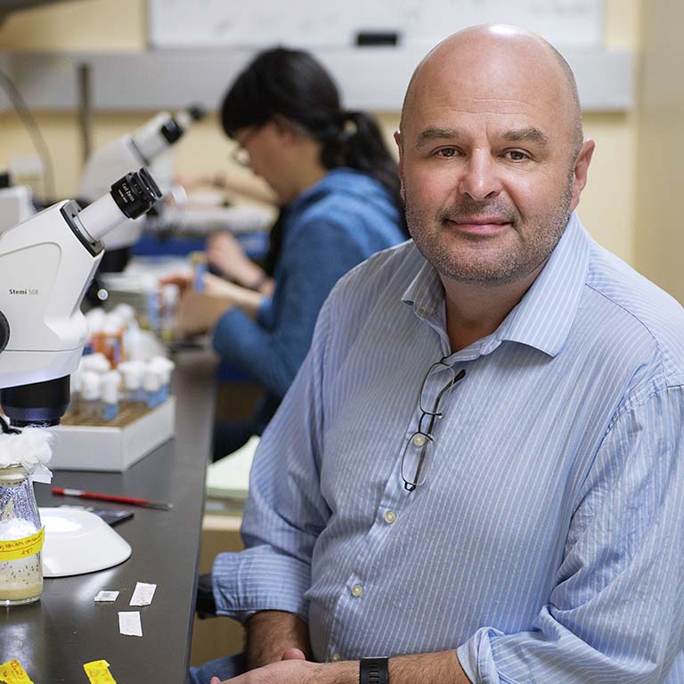 Dan Tracey sits at a lab bench with a stereo microscope and a bottle of fruit flies.