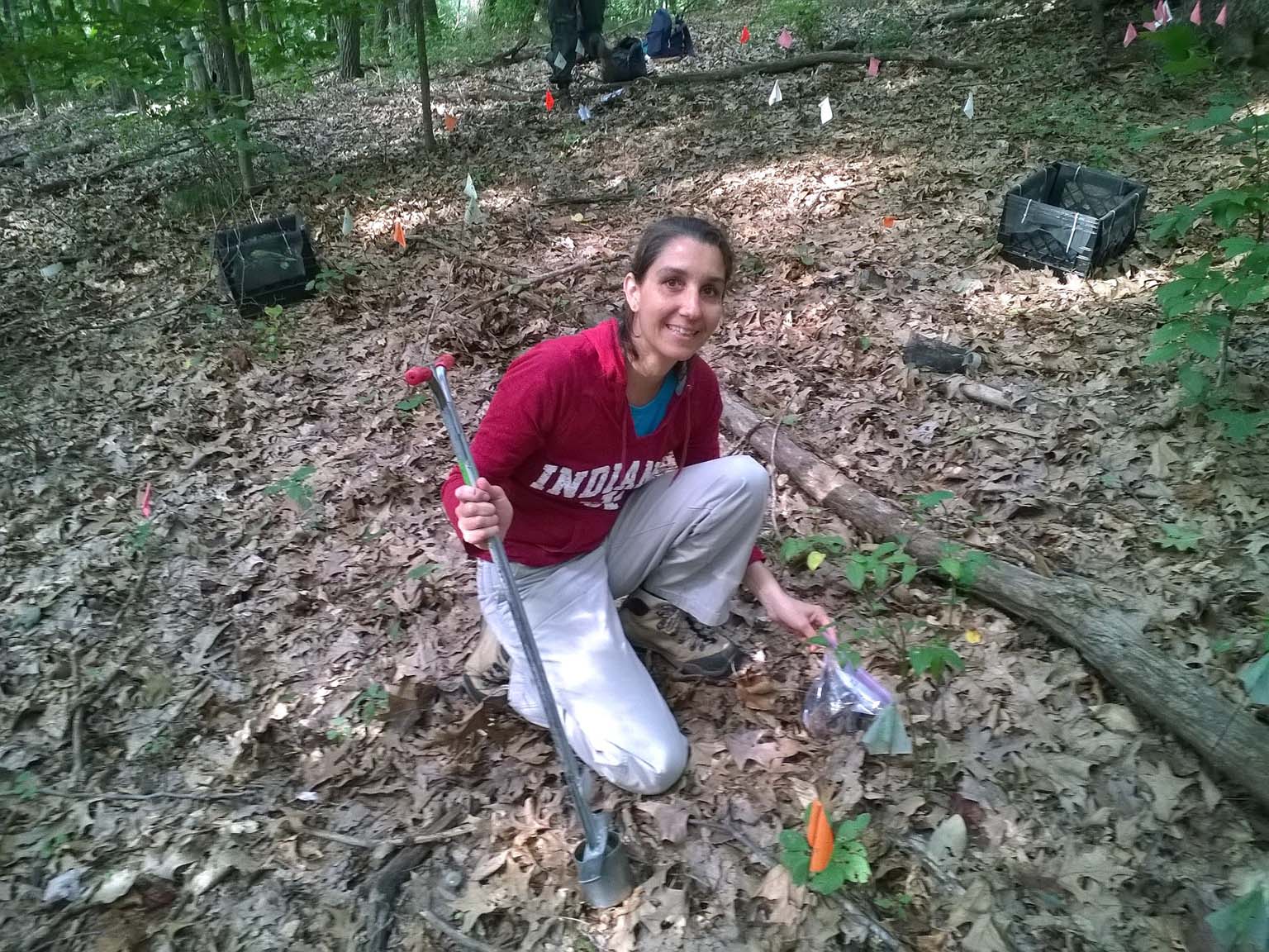 Farrah Bashey-Visser collecting soil samples from a wooded area.