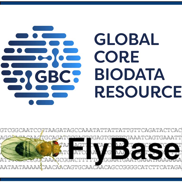Global Core Biodata Resources logo and Flybase logo.