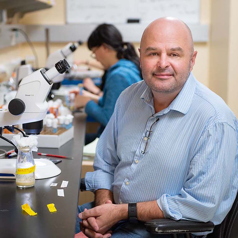 Dan Tracey sits at a microscope in his lab.  A large glass jar of fruit flies and several vials of fruit flies are on the table. A woman works at a microscope behind him.