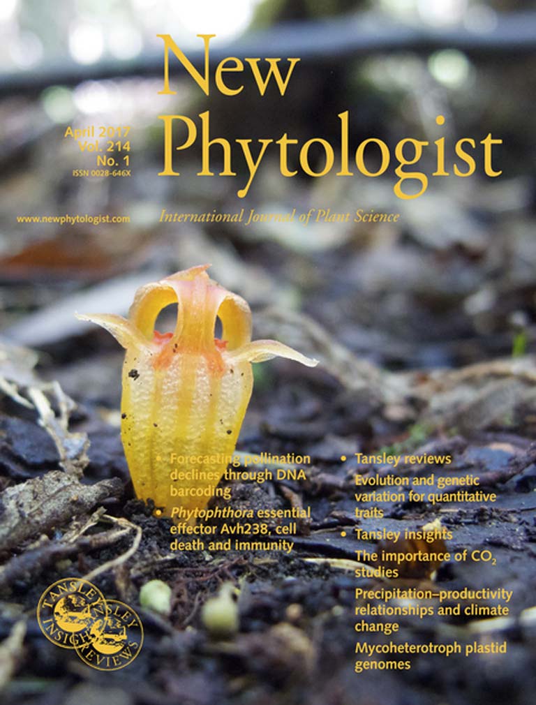 New Phytologist cover
