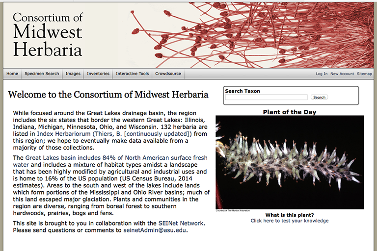 Screenshot of Consortium of Midwest Herbaria website data portal.