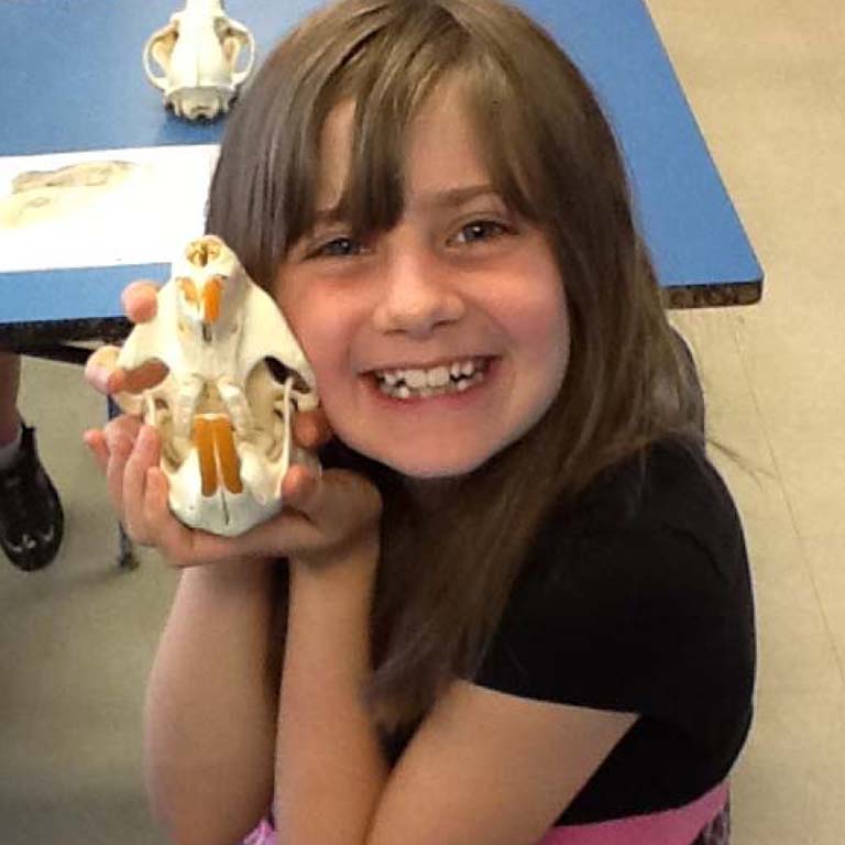 Young girl holding animal skull.