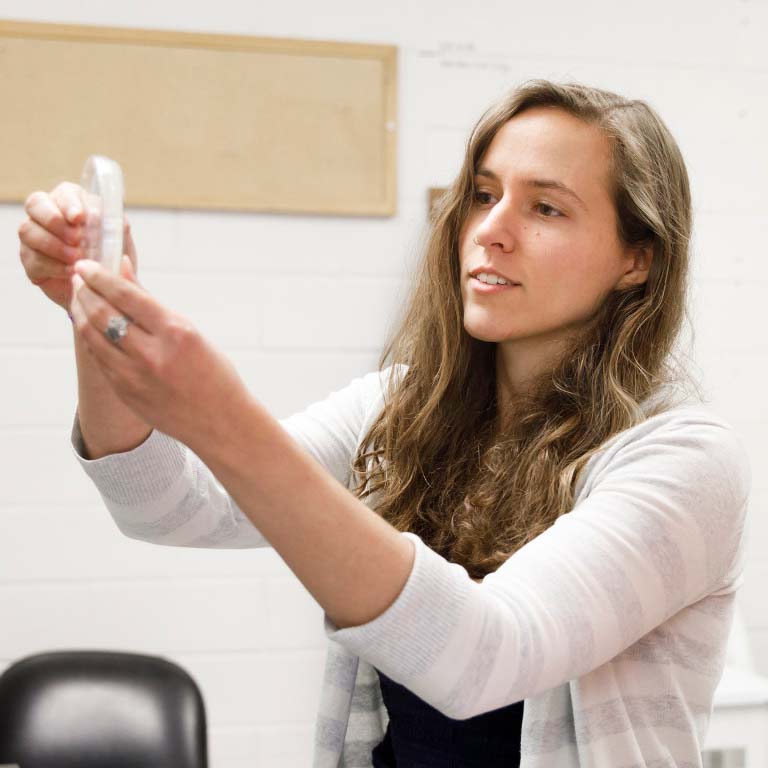 Ph.D. student Courtney Ellison examines a sample in a petri dish.