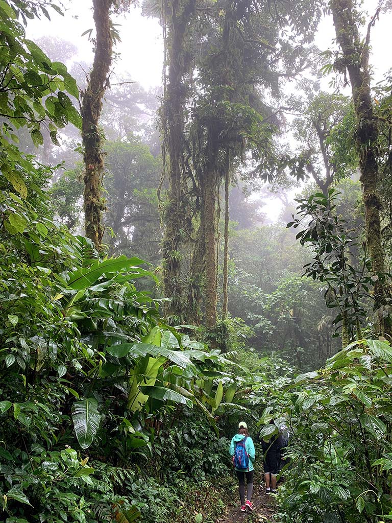 Students exploring and learning about the cloud forest environment. Monteverde, Costa Rica. Photo by Roger Hangarter, 2019