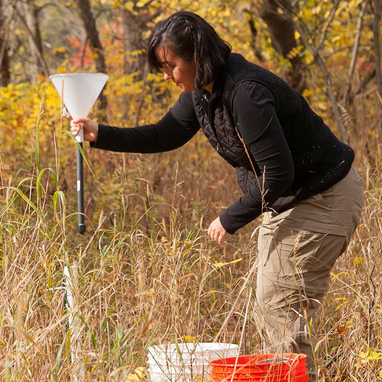 Meghan Midgley picking up a nitrogen deposition collector from a Cook County Forest Preserve. 