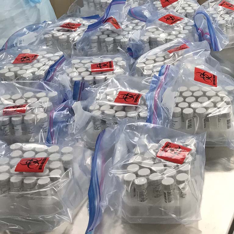 Vials of saliva samples arrive in biohazard bags at the Myers Hall COVID-19 mitigation testing lab.