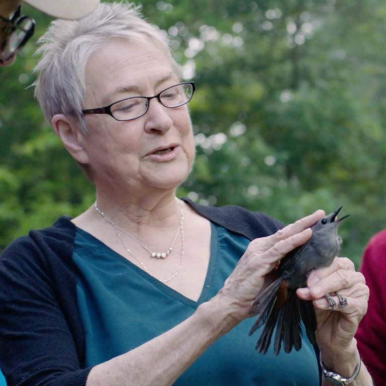Ellen Ketterson holds a Gray Catbird.