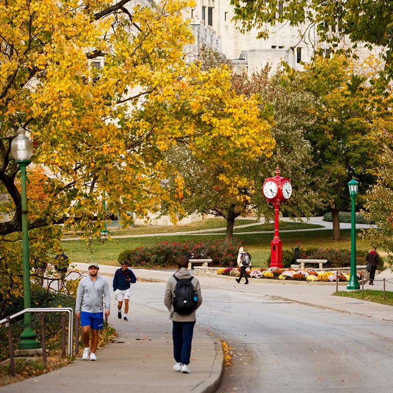 Students walk along a street on the IU Bloomington campus in autumn. The tree foliage is turning yellow, orange, and red. The Indiana Memorial Union can be partially seen in the background through the trees.  A red clock post along the street is encircled by multicolored chrysanthemums and two concrete benches.