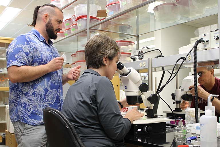 Teachers observing nematodes under a microscope with Dr. Erik Ragsdale at Biology Summer Institute at IU Department of Biology.