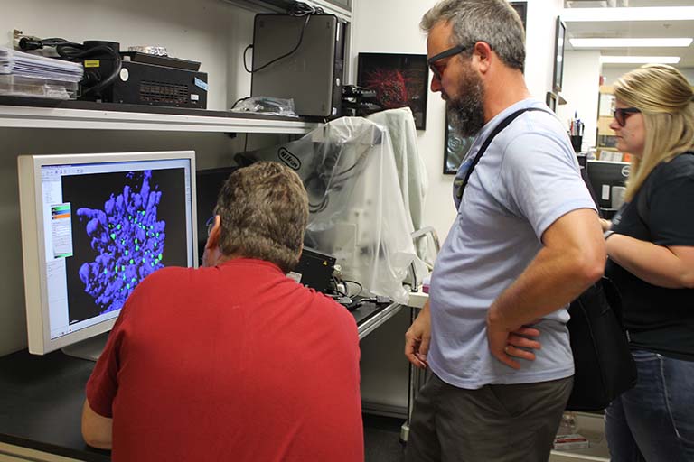 Teachers touring the IU Bloomington Light Microscopy Imaging Center and viewing the mitotic spindle with 3D glasses during the Biology Summer Institute.