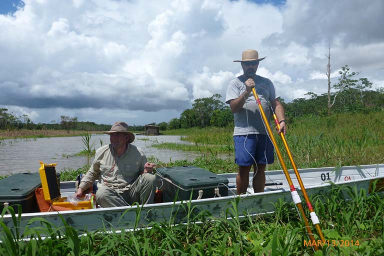 From G. Troy Smith Lab (IU Biology): Recording the communication signals of electric fish in a channel at Catalao near the confluence of the Negro and Solimoes (Amazon) Rivers in Brazil.  Electrodes at the ends of the probes are placed in floating vegetation in the channel.  Portable recording and playback devices in the canoe allow researchers (Troy Smith, left, Jose Alves-Gomes, right) to record the electric communication signals of knifefish and to play back the signals of other electric fish.