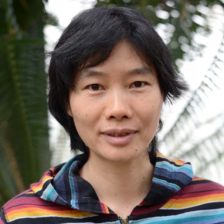 Dingxia Feng